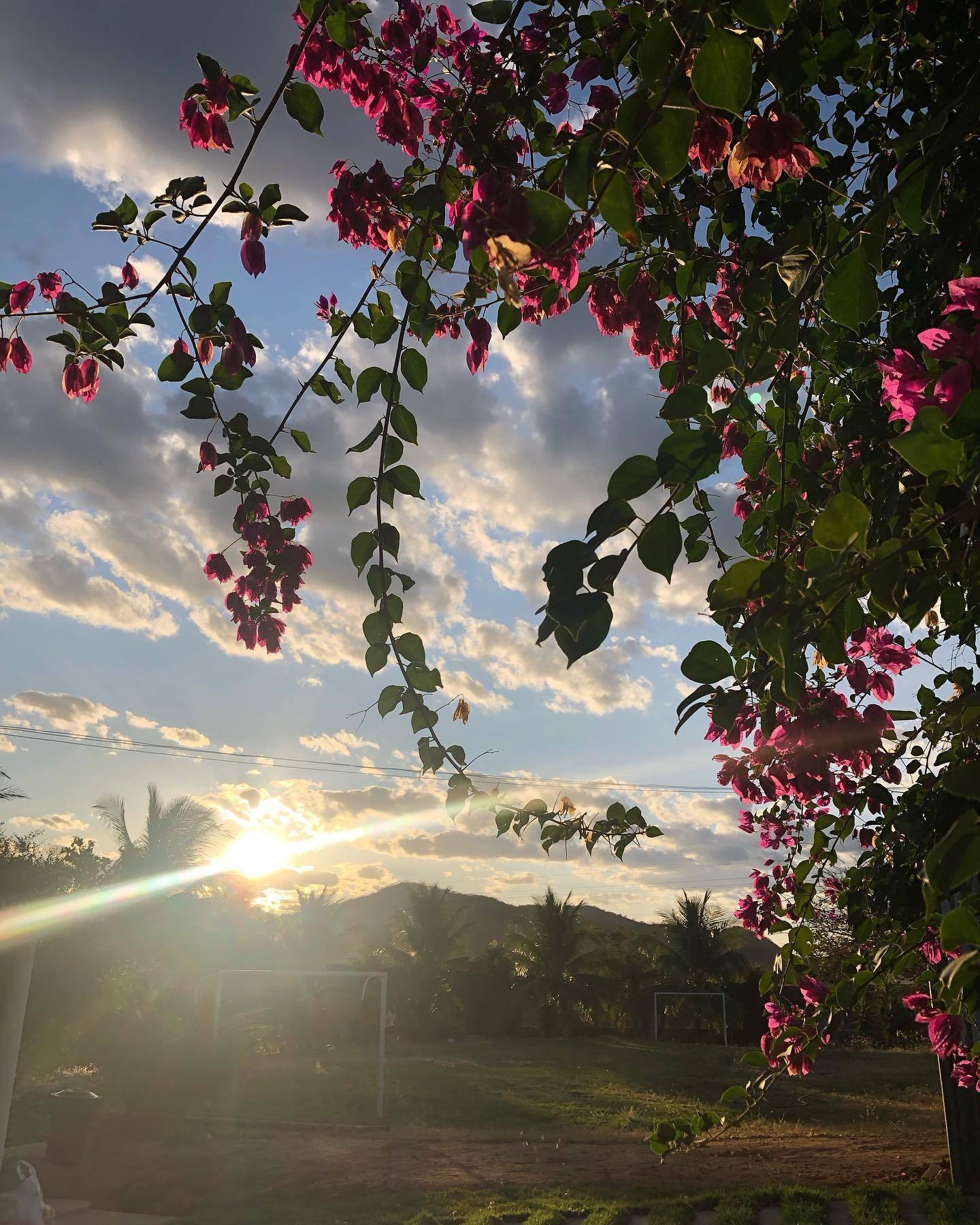 Campo de futebol da chácara ao entardecer, com trave e flores de bougainville